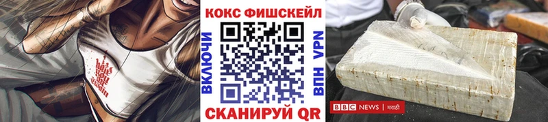 КОКАИН FishScale  мега tor  Арзамас  цена наркотик 