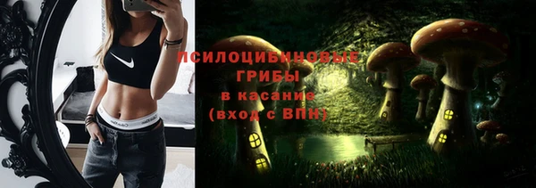 МДМА Горняк