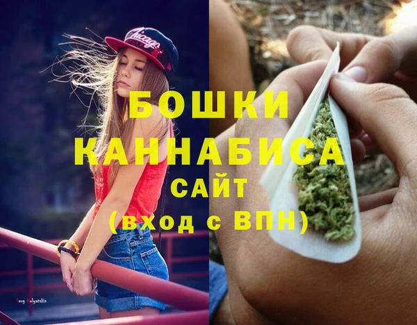 не бодяженный Горно-Алтайск
