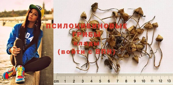 МДМА Горняк